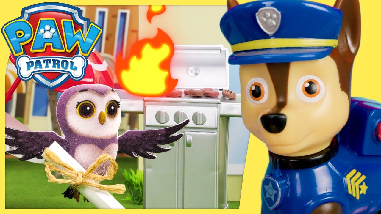 Hootie’s Fire Fiasco | PAW Patrol | Toy Play