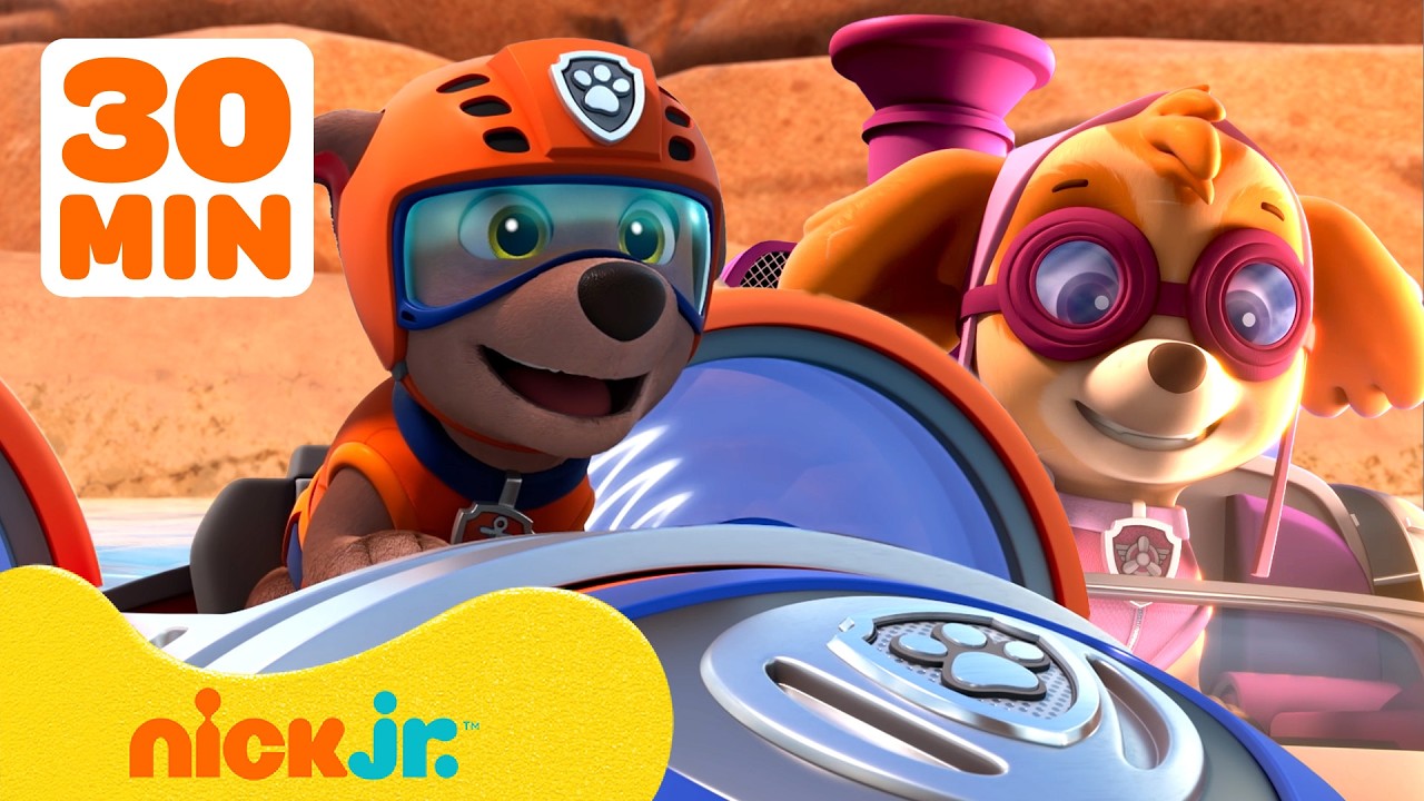 PAW Patrol Air & Sea Rescues! Skye and Zuma