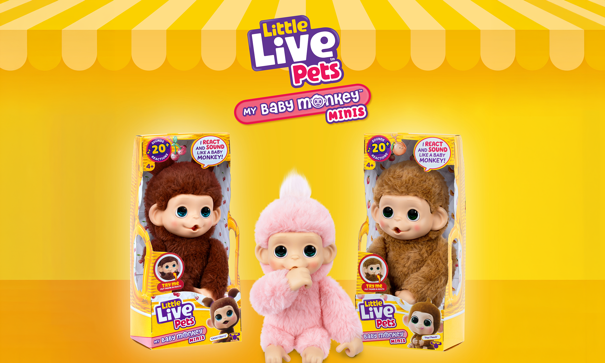 Be in to WIN Little Live Pets
